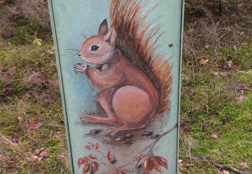 IMG-20190116-123057175