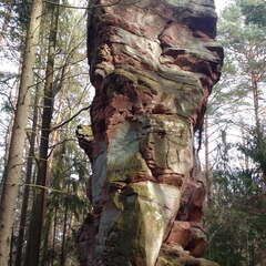 IMG-20190116-133011441