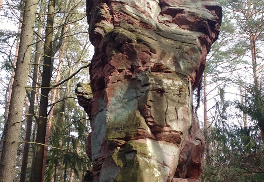 IMG-20190116-133011441