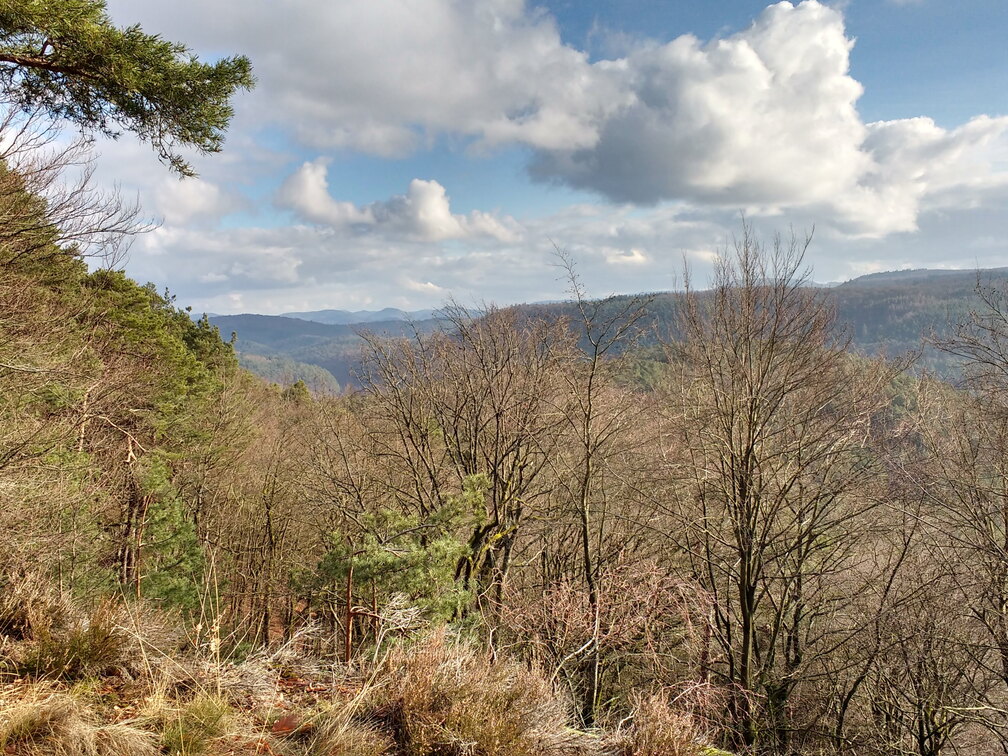 IMG-20190118-125130437-HDR