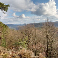 IMG-20190118-125130437-HDR