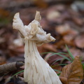 DSC_2578.jpeg