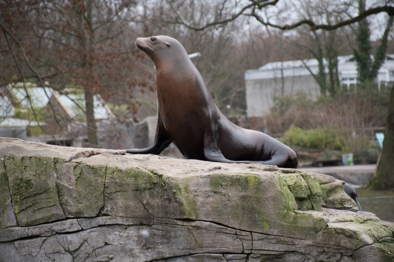 DSC-1260.jpg