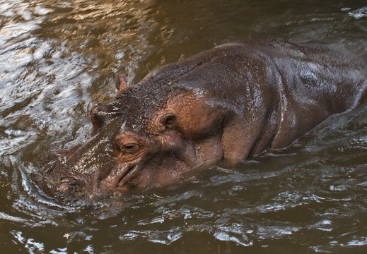 Zoo Karlsruhe Dezember