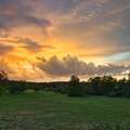 DSC_4334.jpeg