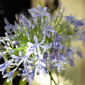 DSC_3455.jpeg