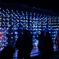 DSC_2847.jpeg