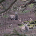 DSC_2912.jpeg
