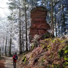 IMG 20200122 115450889 HDR