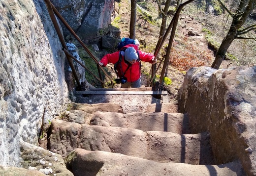 IMG 20200122 124610749 HDR