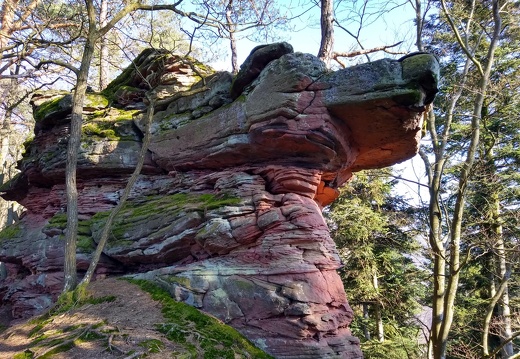 IMG 20200122 130614568 HDR