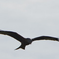 DSC_3242.jpeg