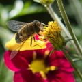 DSC_3906.jpeg