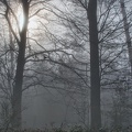 DSC_4509.jpeg