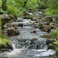 DSC 4099