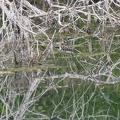 DSC_3697.jpeg
