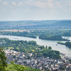 P9010193