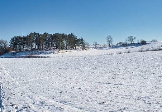 Westlich von Joehlingen