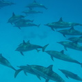 GOPR2369.JPG