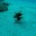 GOPR2422