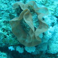 IMG 2519