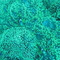 IMG_2659.JPG