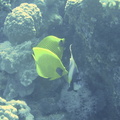 IMG_2719.jpeg