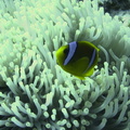 IMG_2758.jpeg