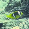 IMG_2877.jpeg