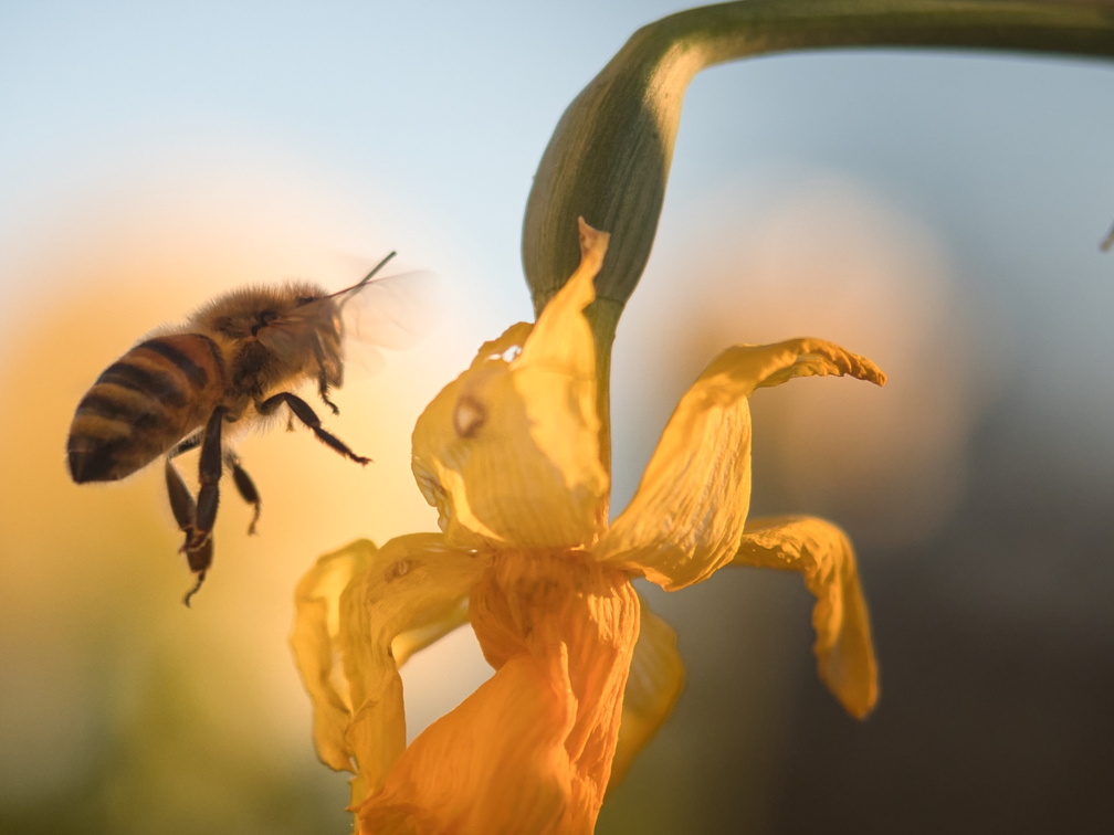 20220303190035-7b5a8371