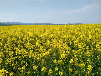 IMG 20220502 114609853 HDR