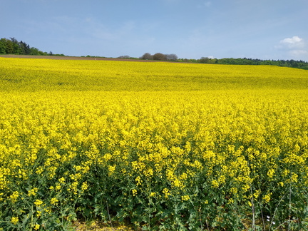 IMG 20220502 115818410 HDR