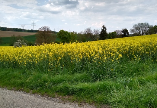 IMG 20220502 155821547 HDR