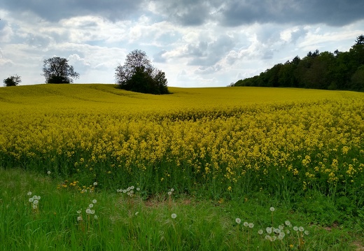 IMG 20220502 160638177 HDR