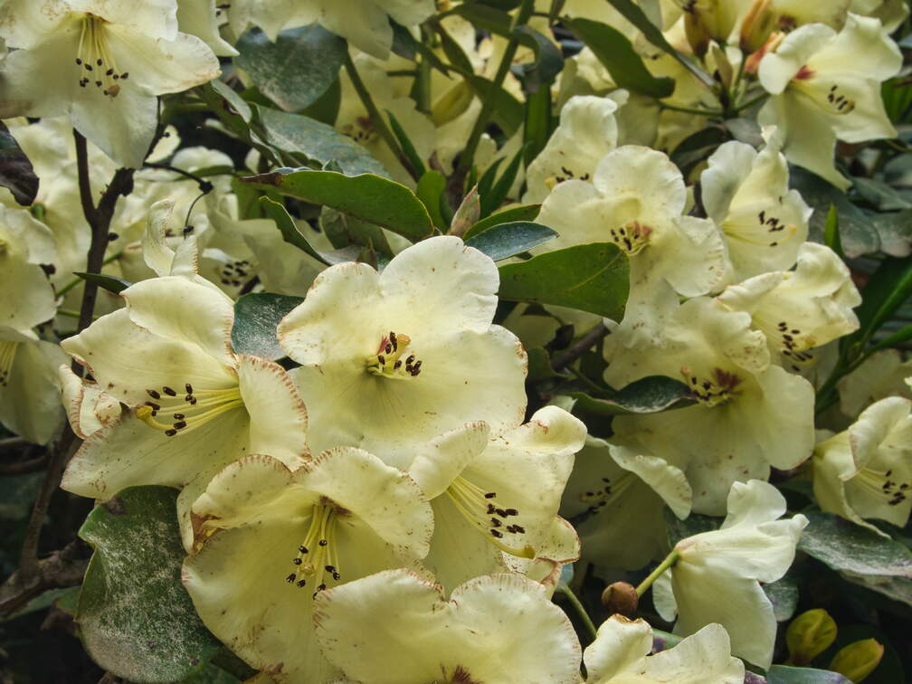 P5280037