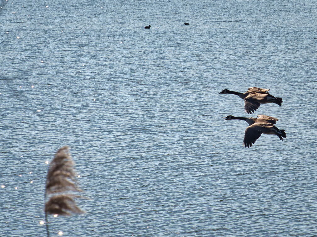 20220301193332-38d3ad78