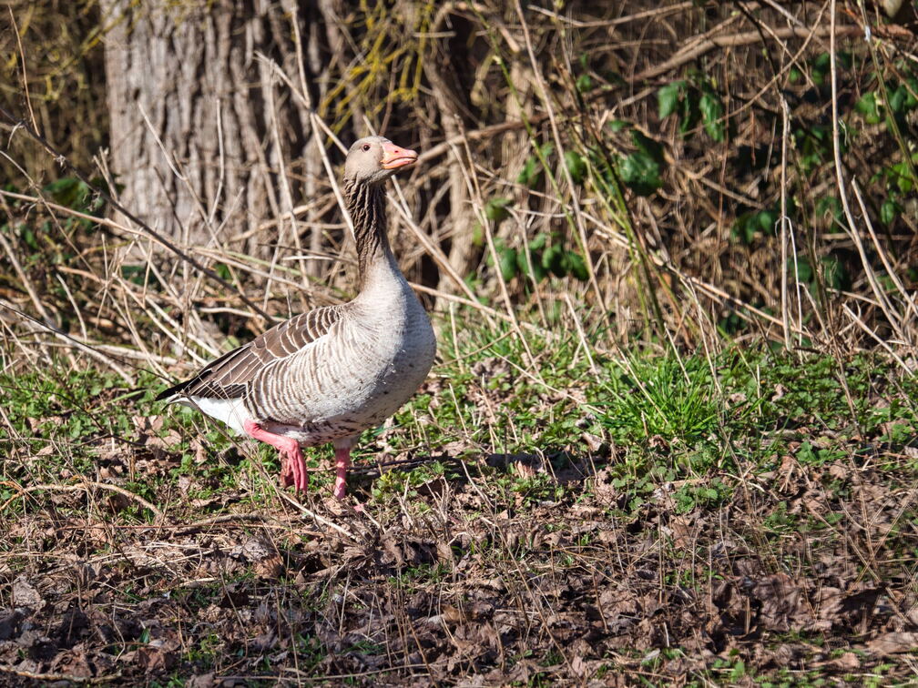 20220301193334-9c08e352