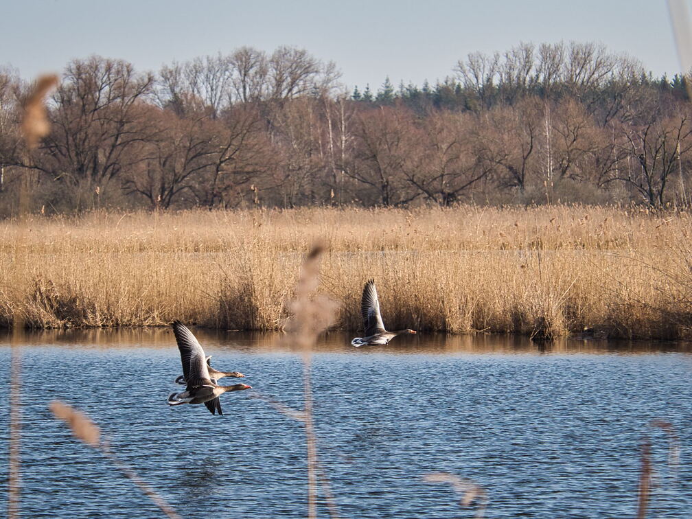 20220301193335-5b868f11