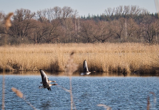 20220301193335-5b868f11