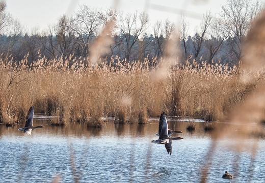 20220301193335-8a763193