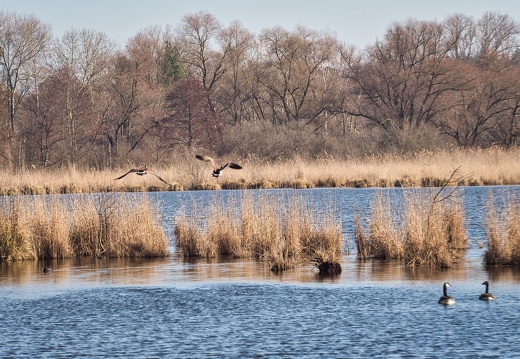 20220301193336-9ec27544