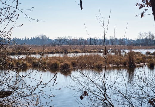 20220301193338-1ae85038