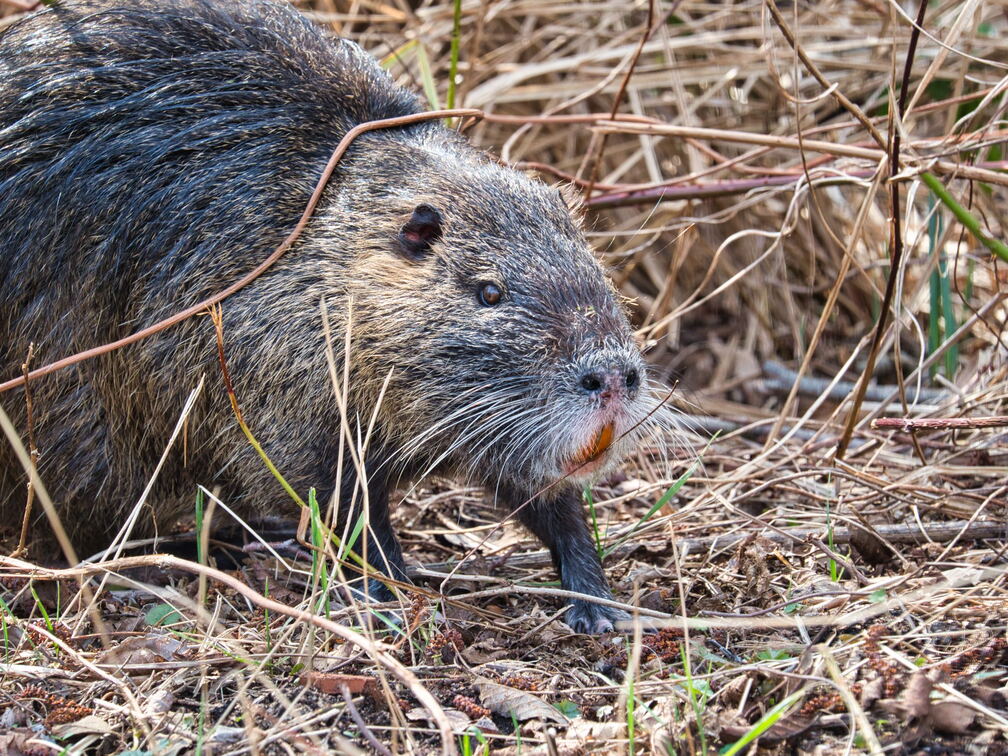 20220301193339-5f3d7c20