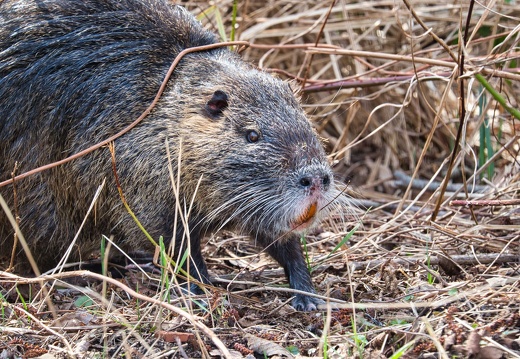 20220301193339-5f3d7c20