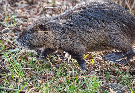 20220301193339-6a982016