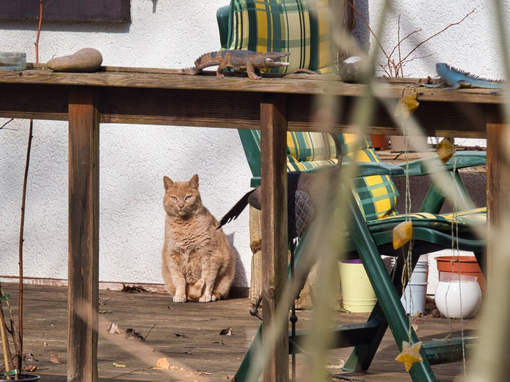 20220301193340-fe9602f3