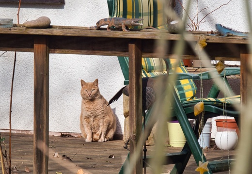 20220301193340-fe9602f3