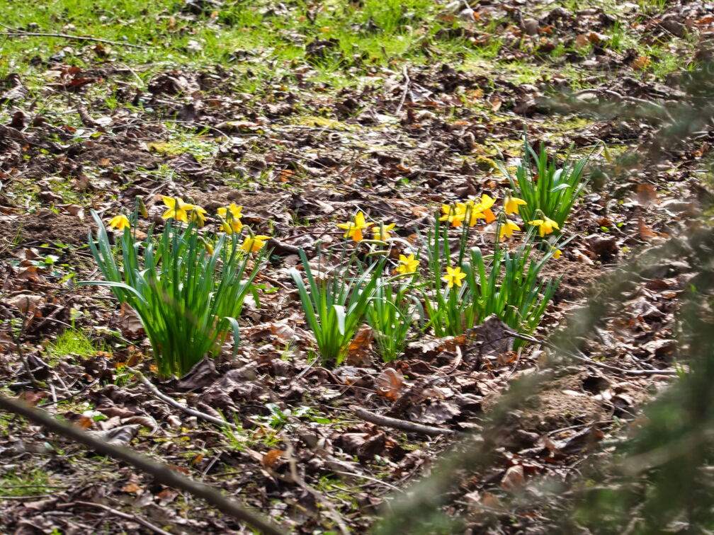 20220301193341-8eca2186