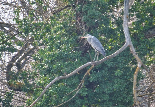 20220301193341-c82881cd