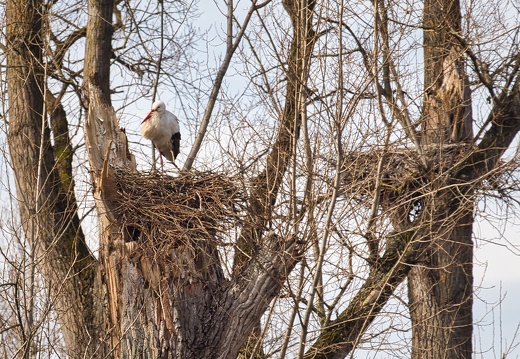 20220301193342-1997cb17